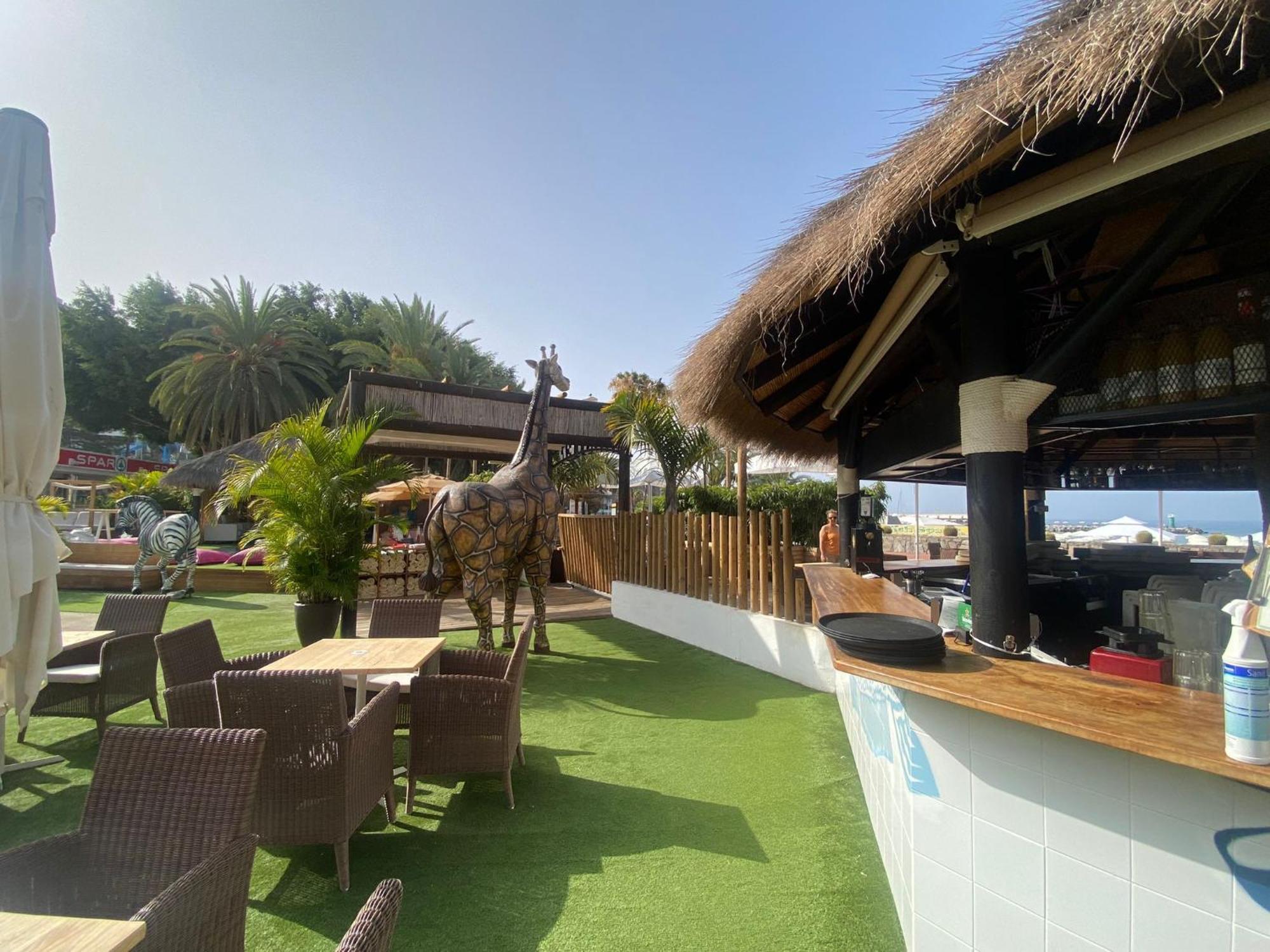 New Renovated Family Home Above Swimming Pool Puerto Rico  Zewnętrze zdjęcie
